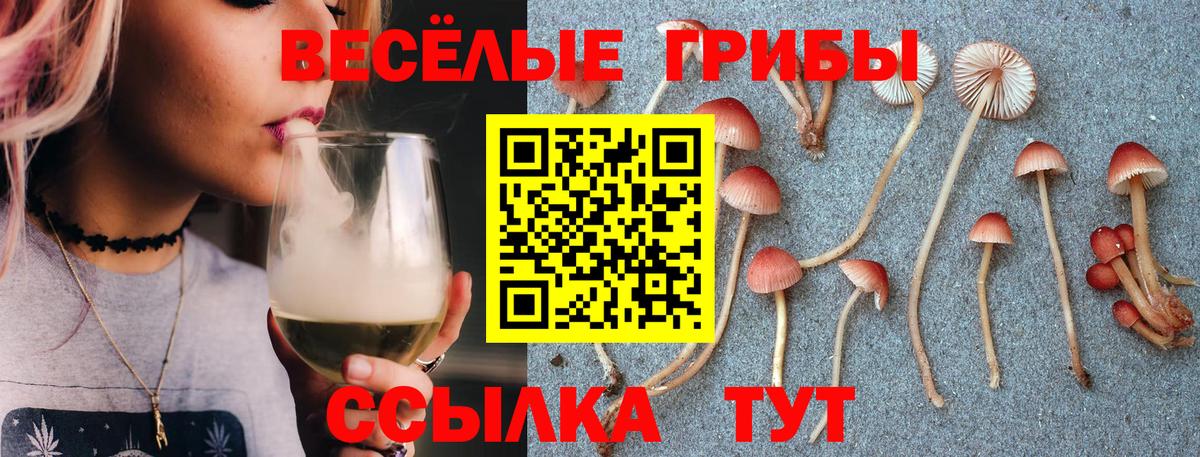 Псилоцибиновые грибы MAGIC MUSHROOMS Фролово